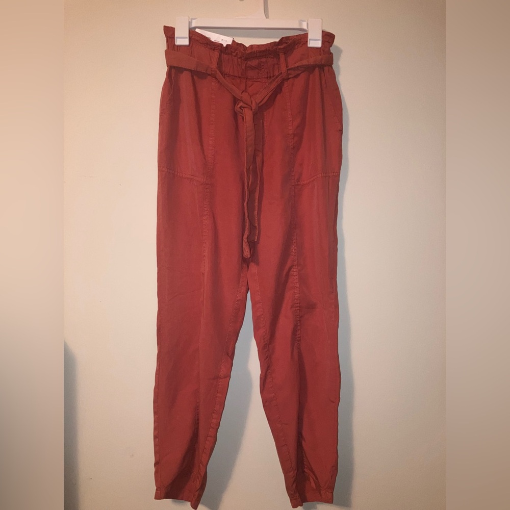 Social Standard by Sanctuary NWT Terracotta Pants